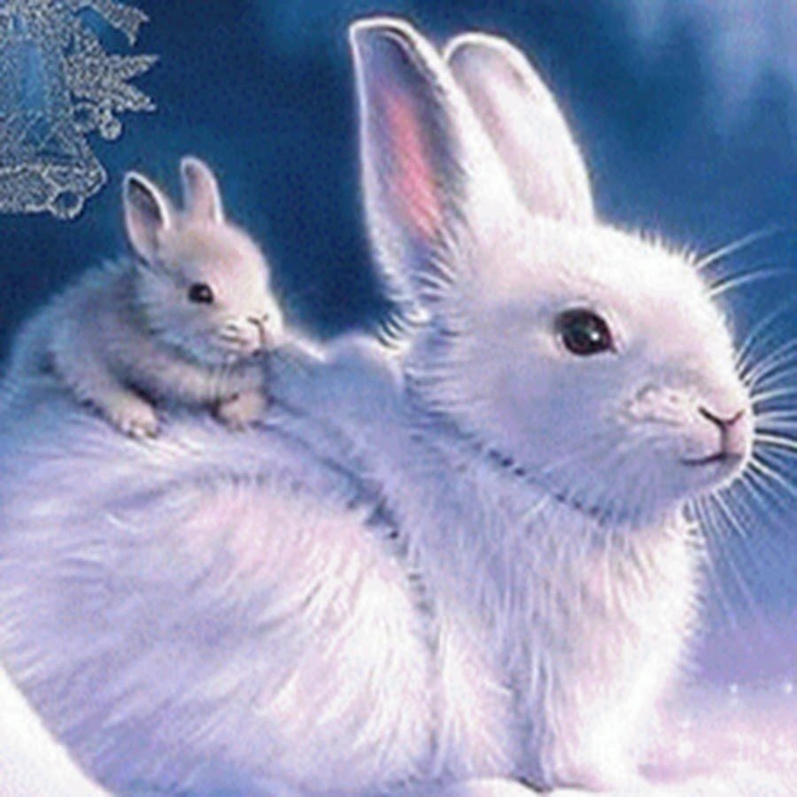 Зайчик на снегу