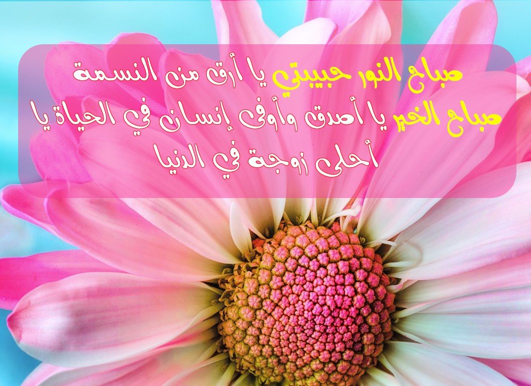 Доброе утро пятницы прикольные