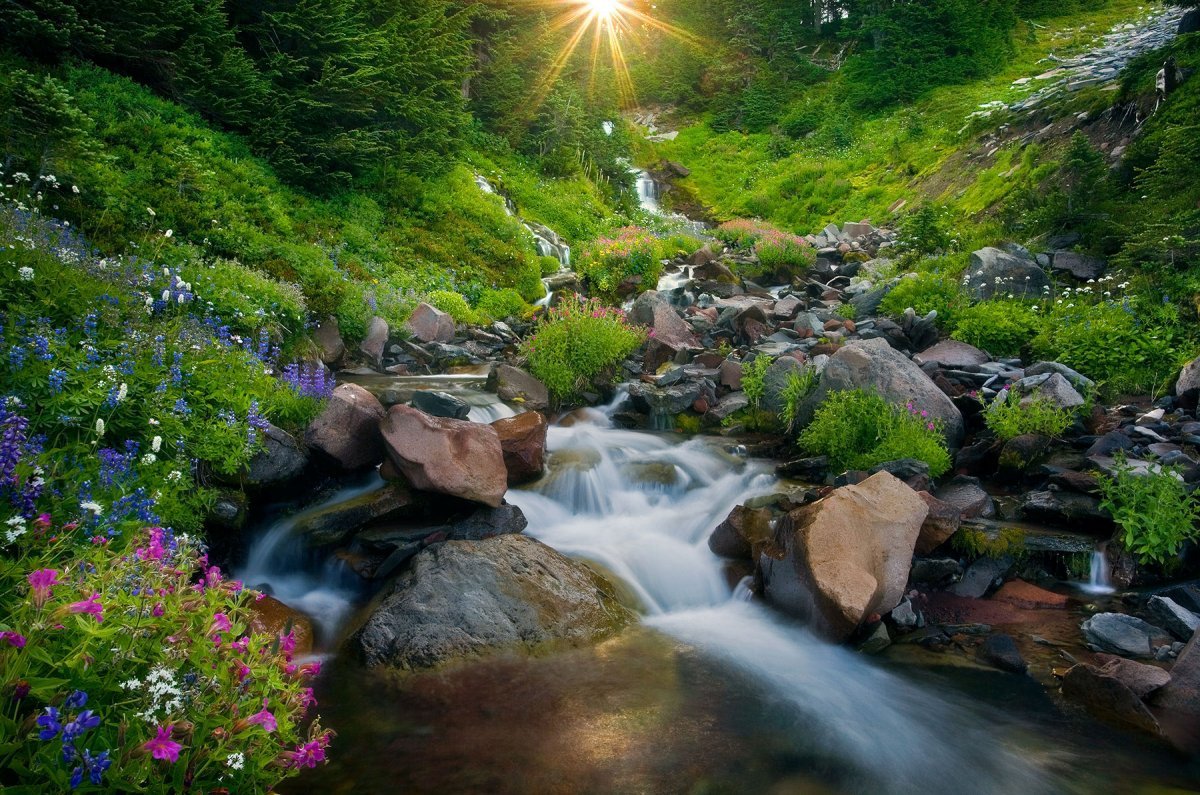 Родник ручей река озеро