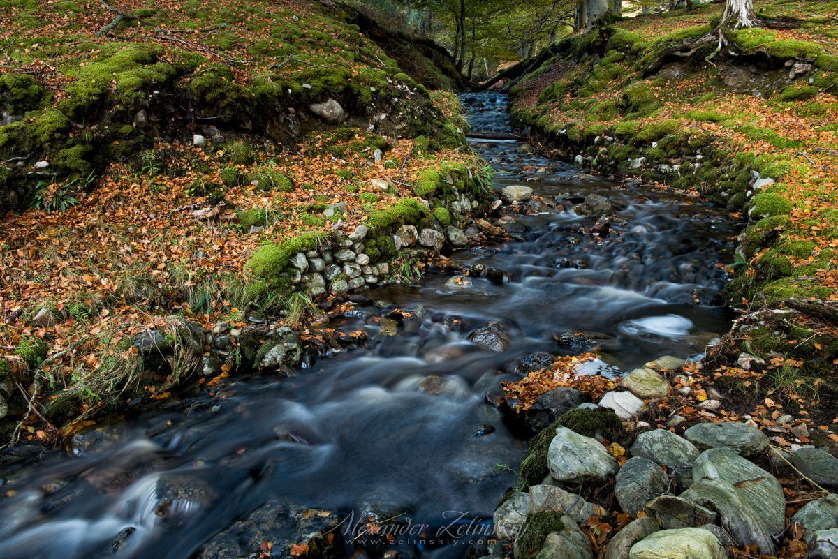 Маленький ручей