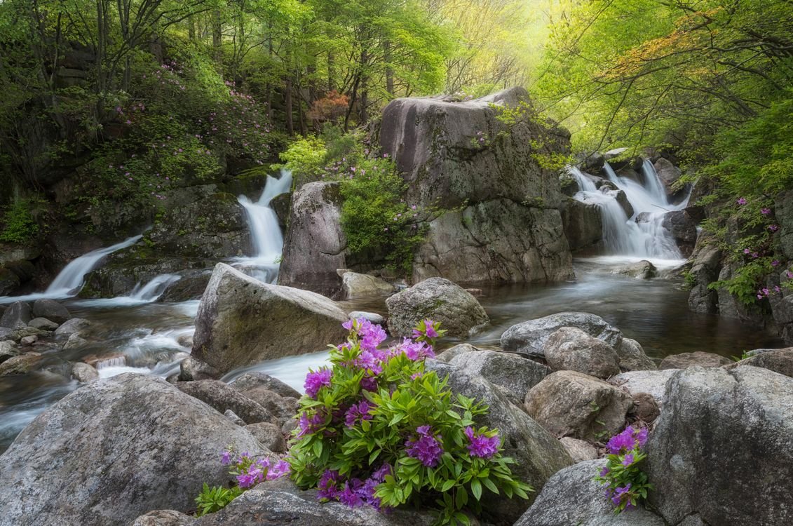 Родник водопад Горная река