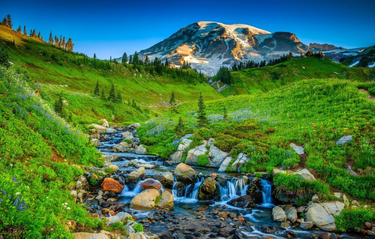 Нац парк США камни ручей