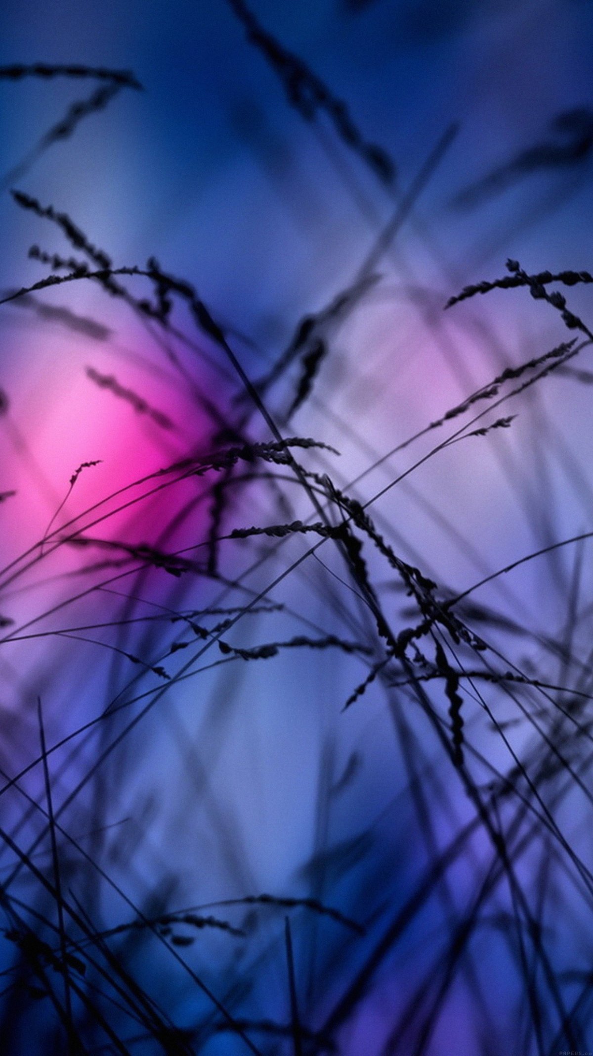 Обои на телефон вертикальные