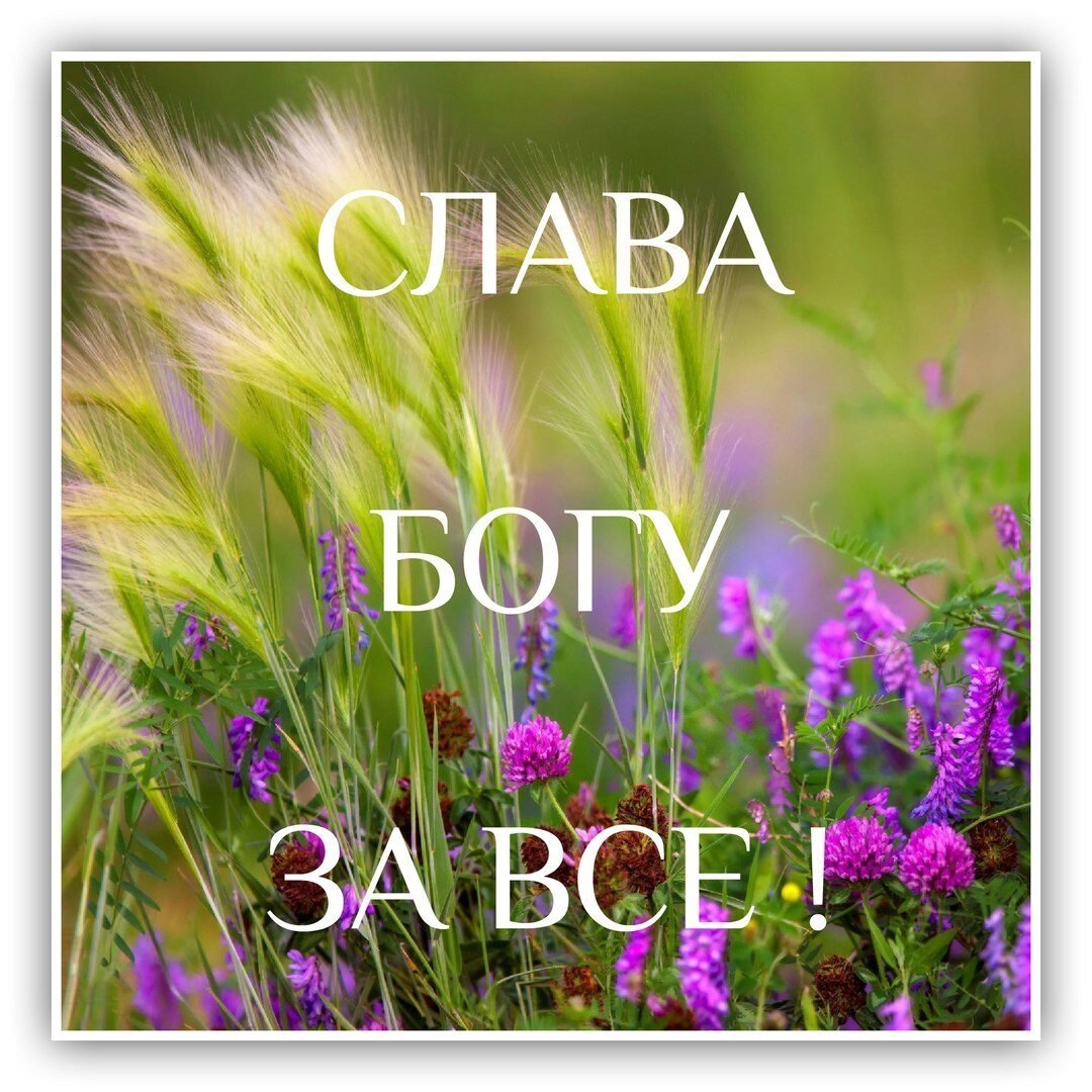 Слава Богу за все!