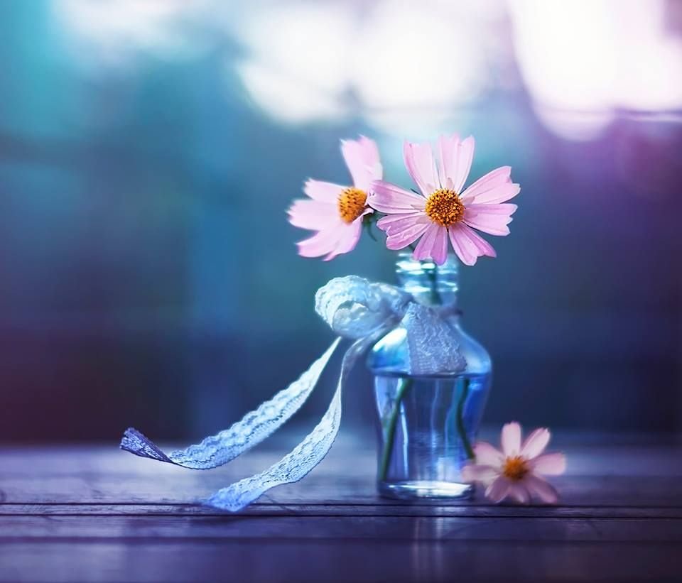 Благодарю тебя Господь