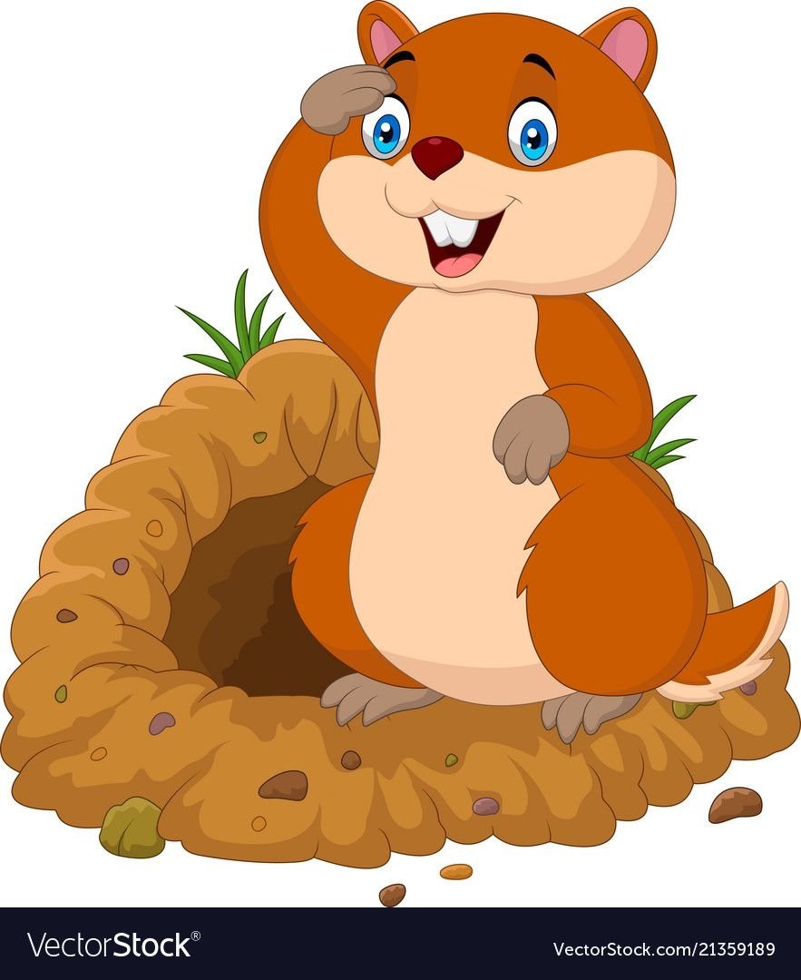 Сурикат рисунок