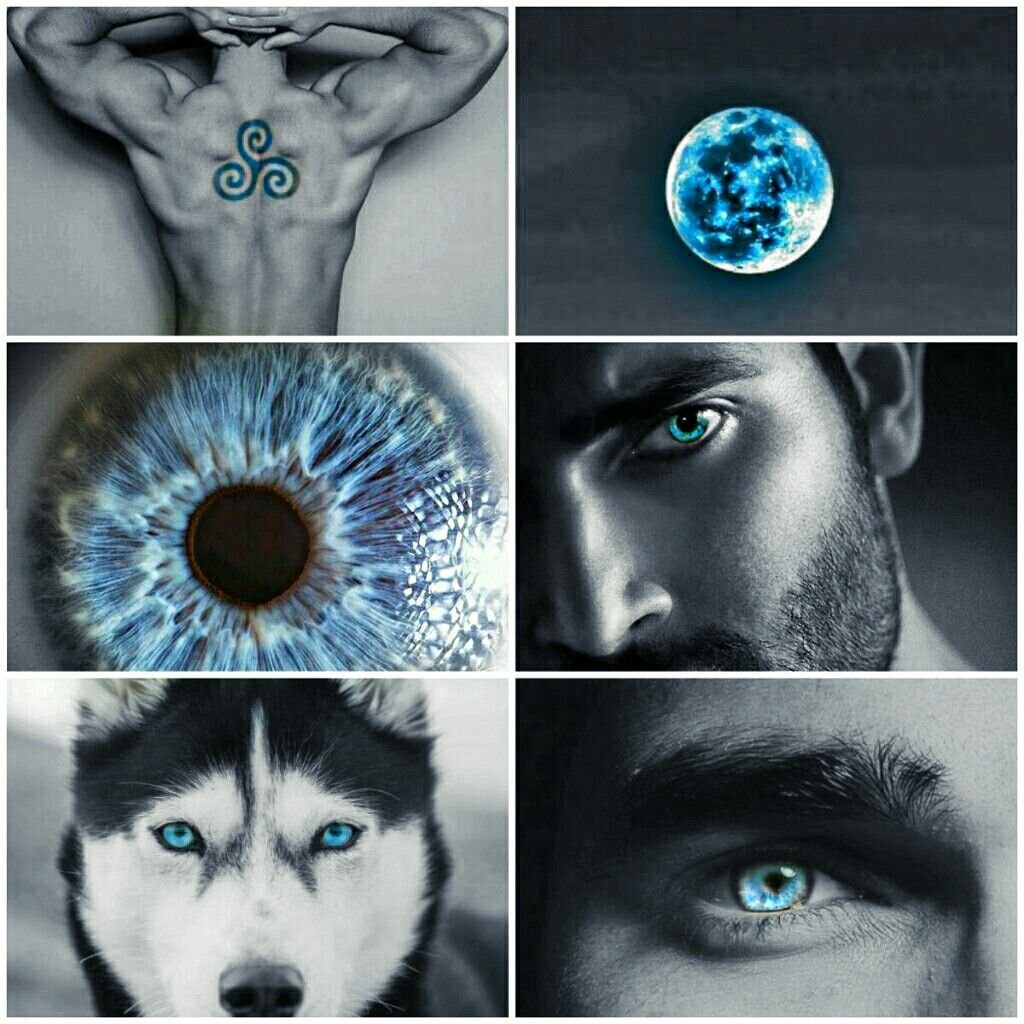 Про маленького волчонка