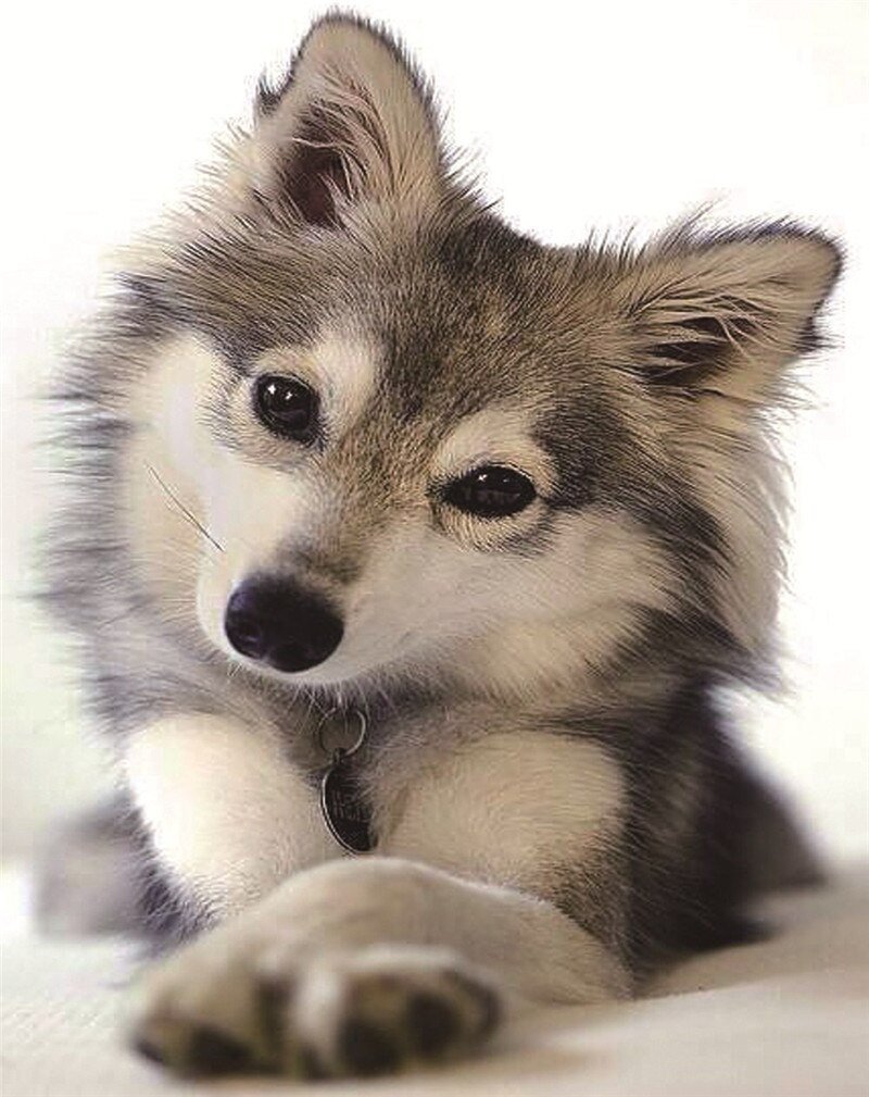 Волчонок сериал обои на рабочий стол