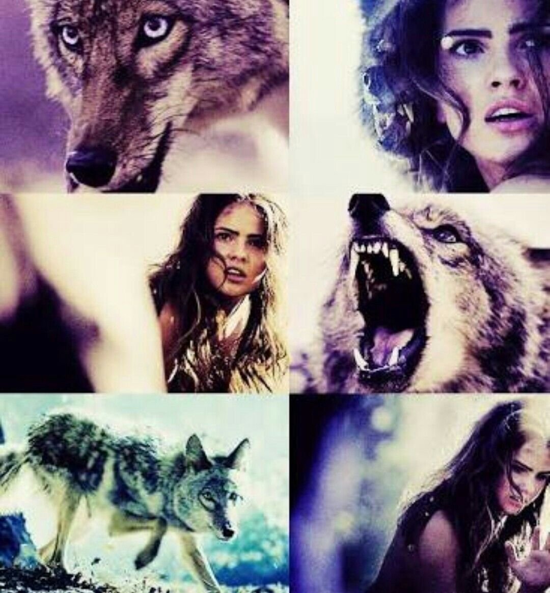 Про маленького волчонка