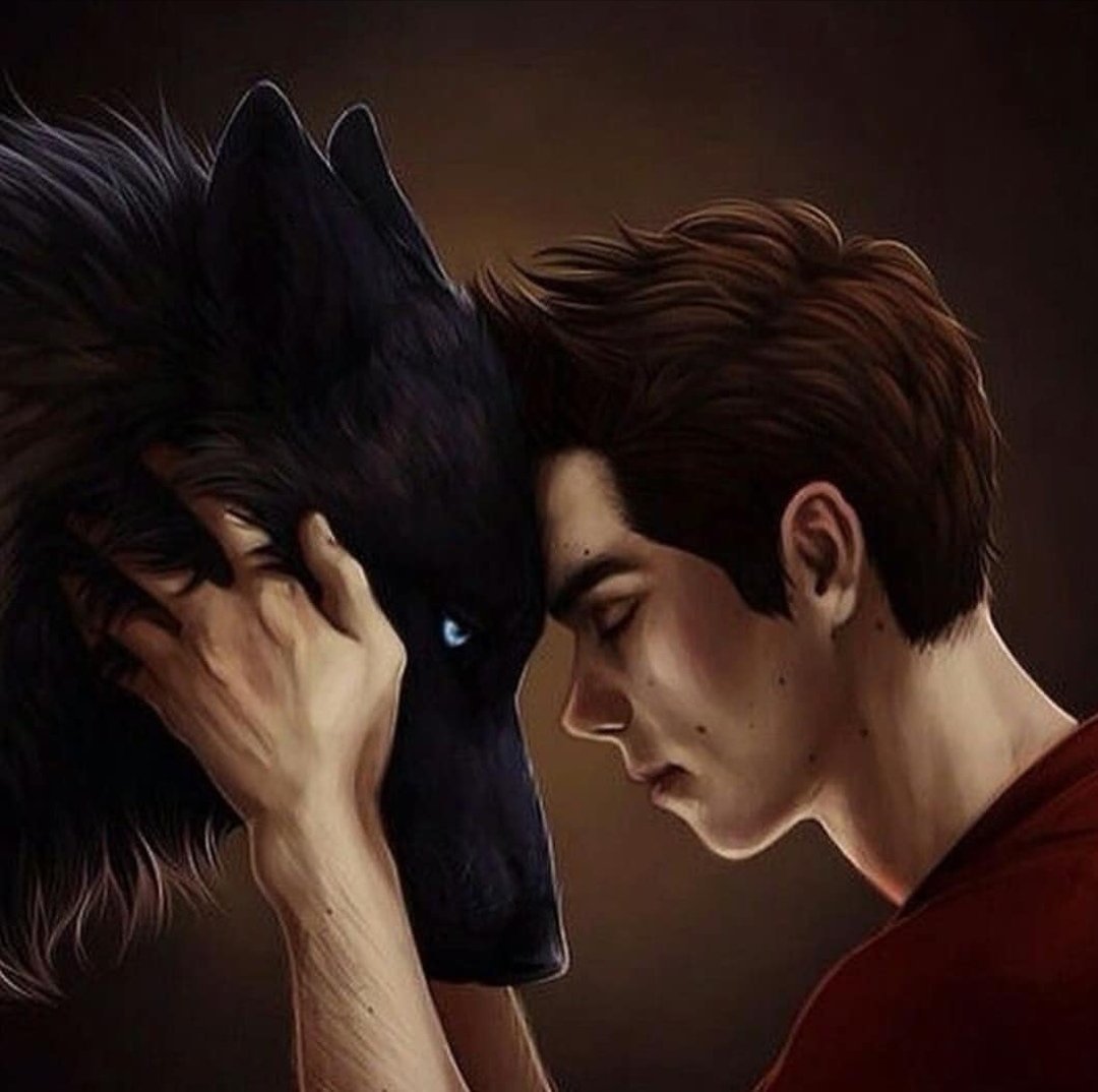 Волчонок картинки