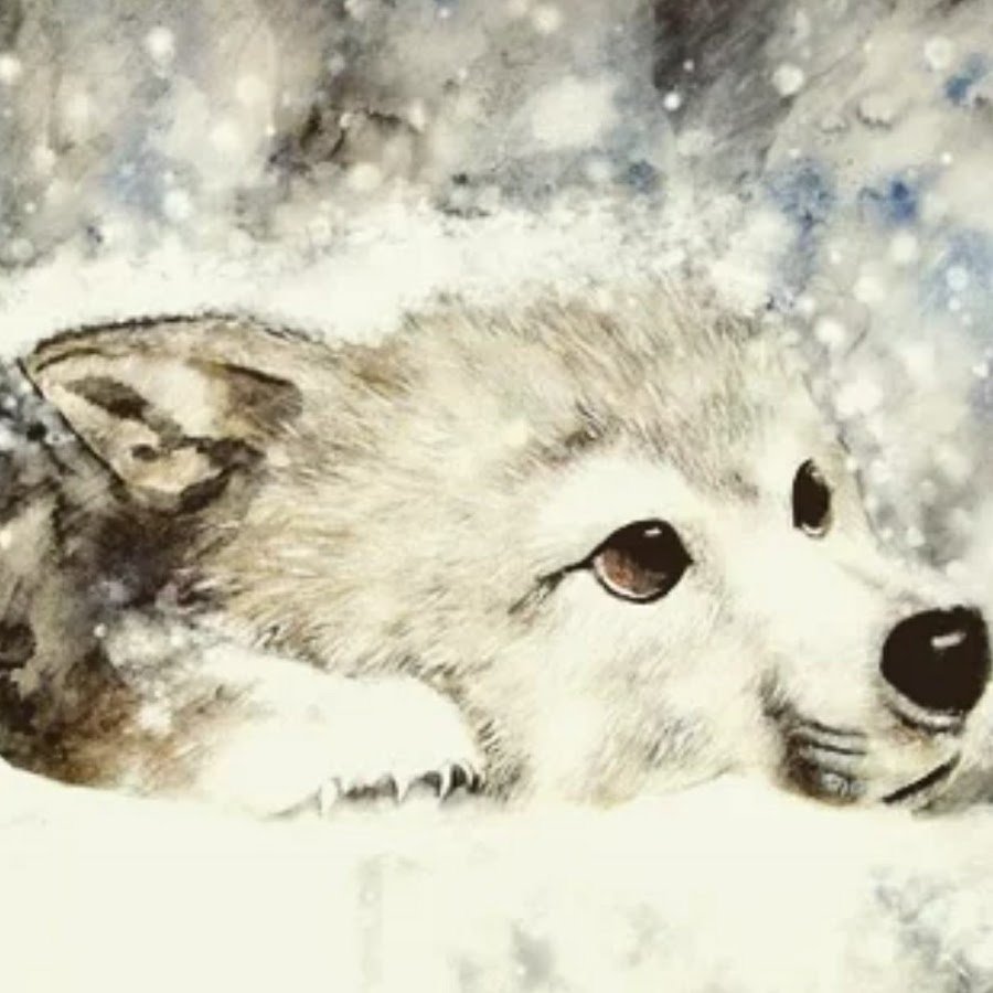 Оборотень сериал Райан Келли