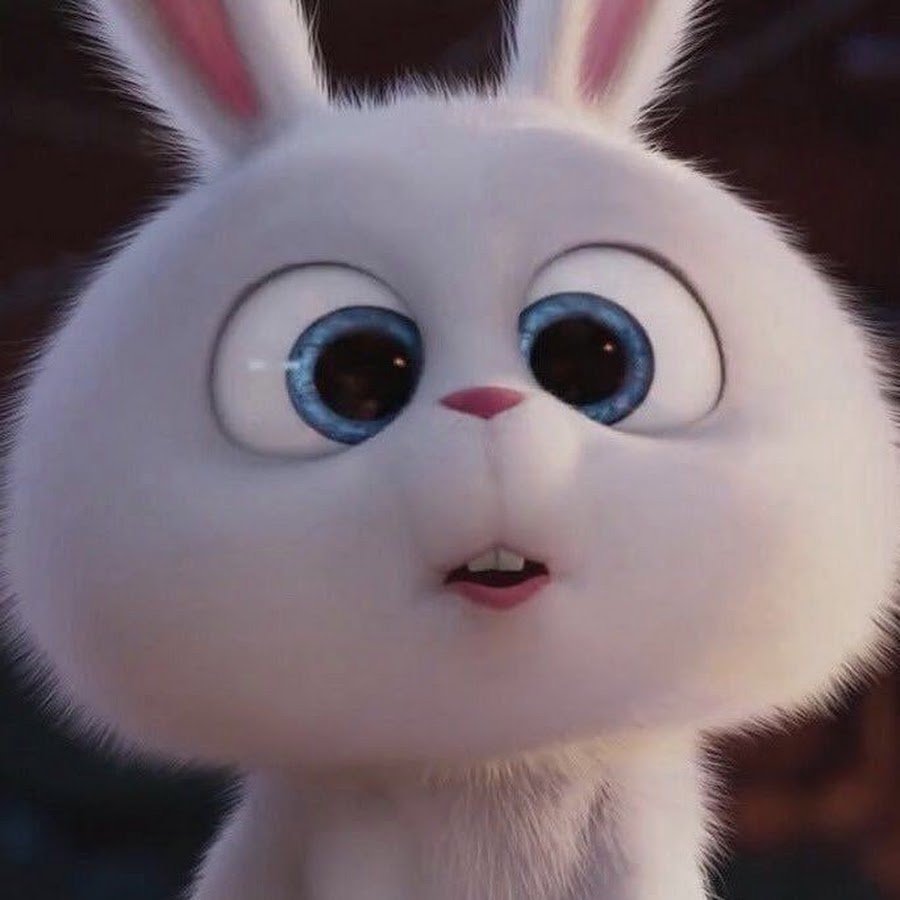 Тайная жизнь домашних животных кролик