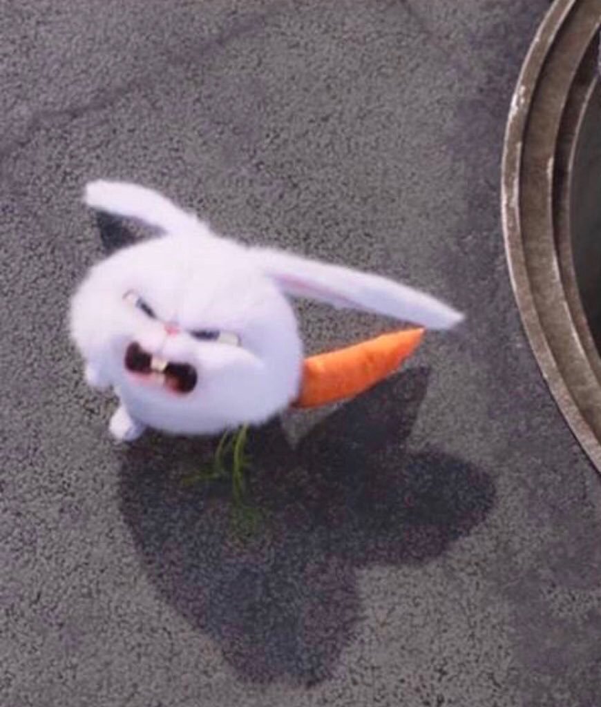 Кролик из Тайная жизнь домашних