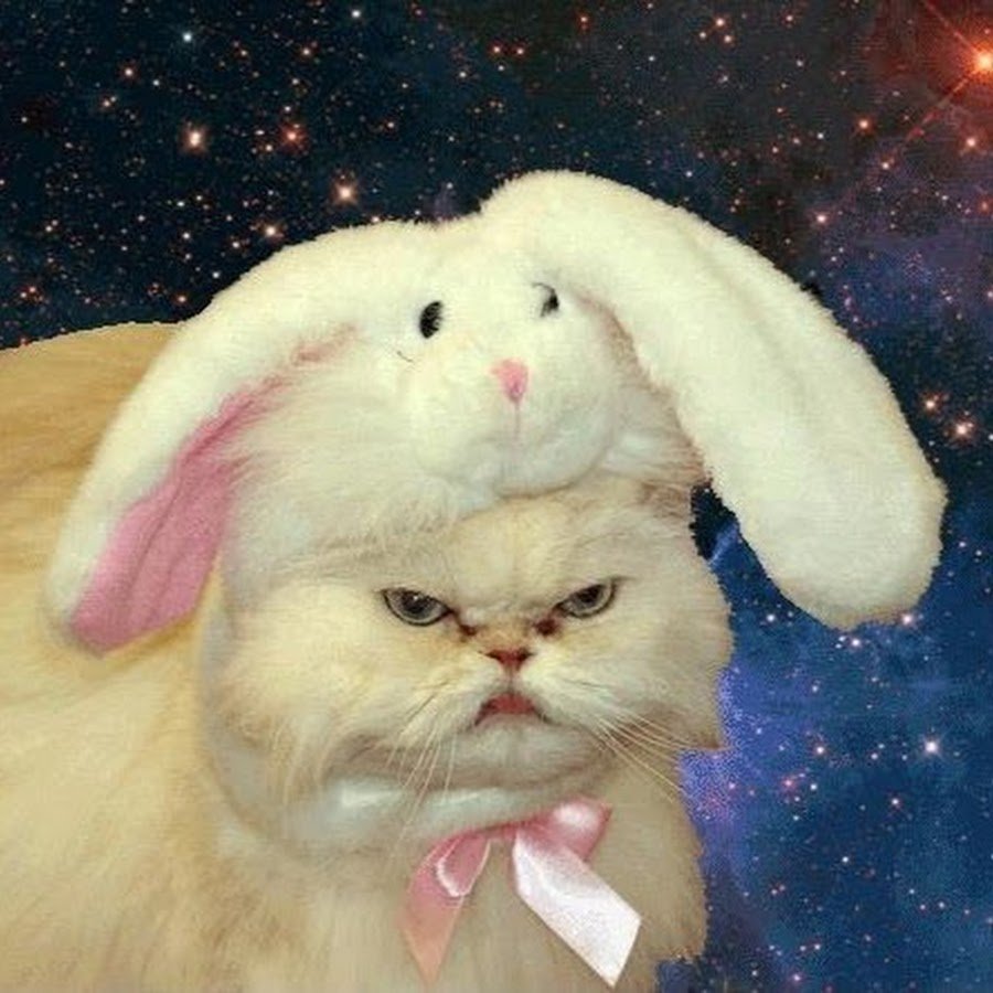 Тайная жизнь домашних животных кролик злой