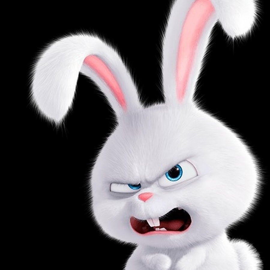 Тайная жизнь домашних животных 1 кролик