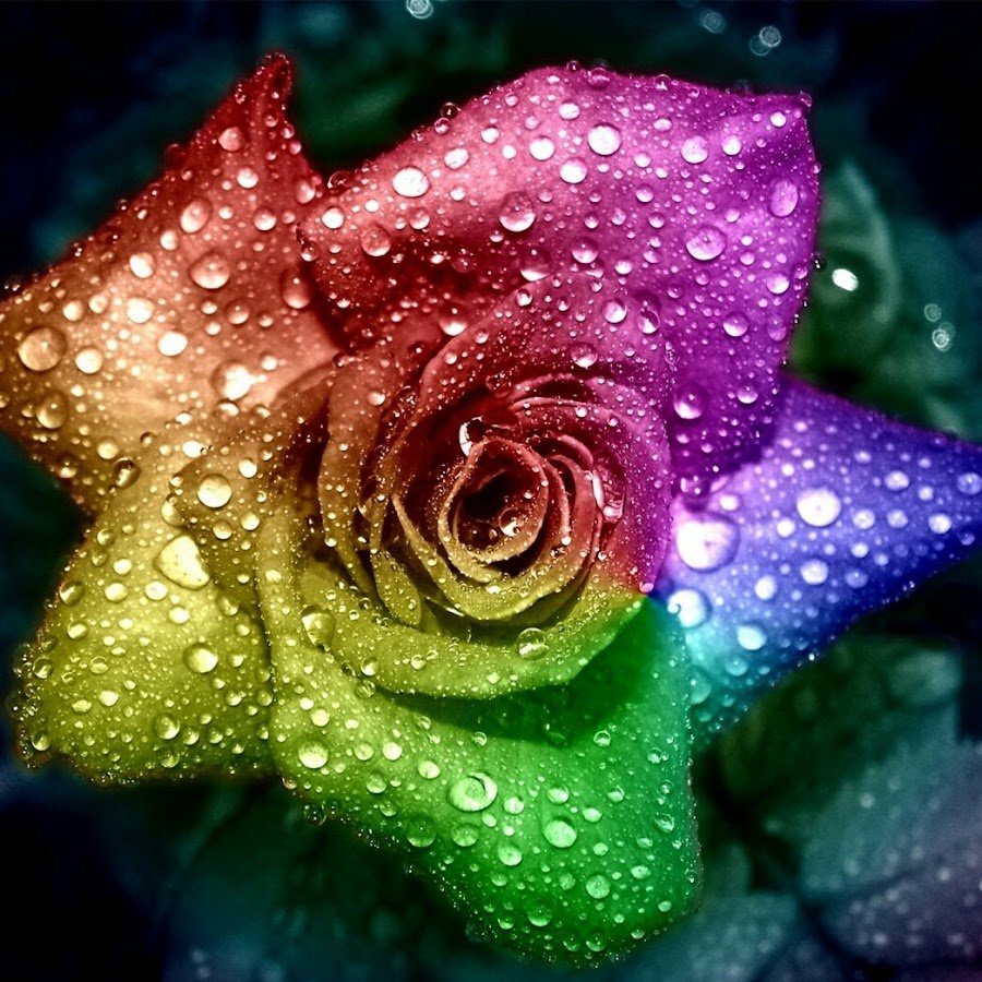 Красивые картинки