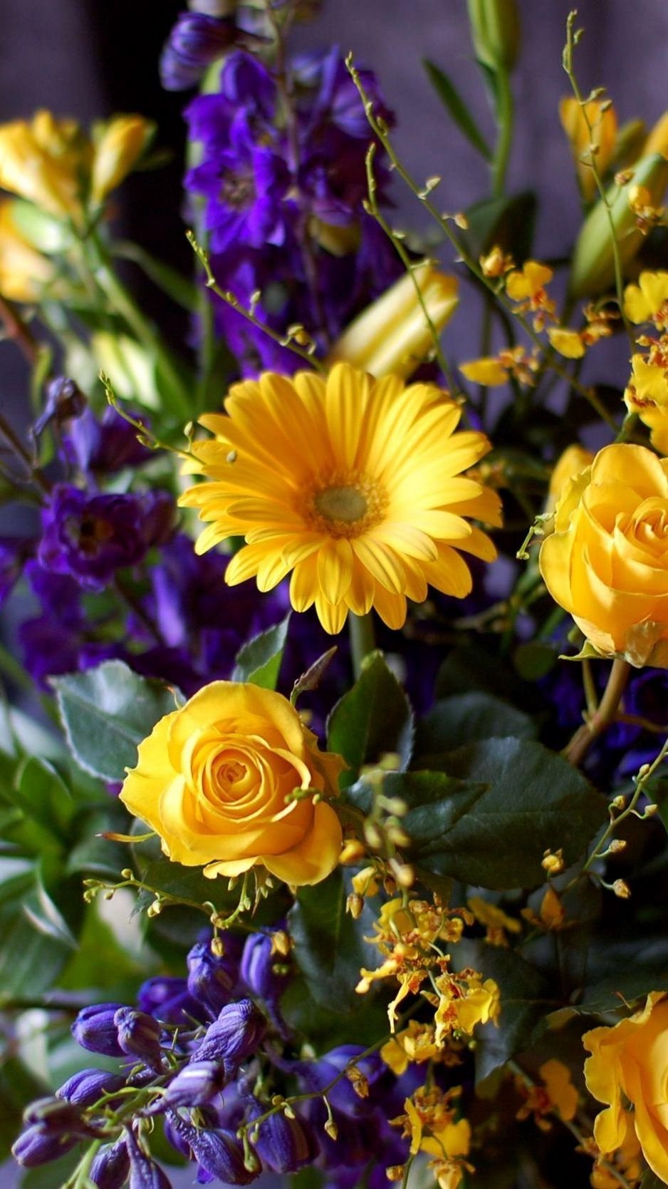 Картинки на телефон цветы