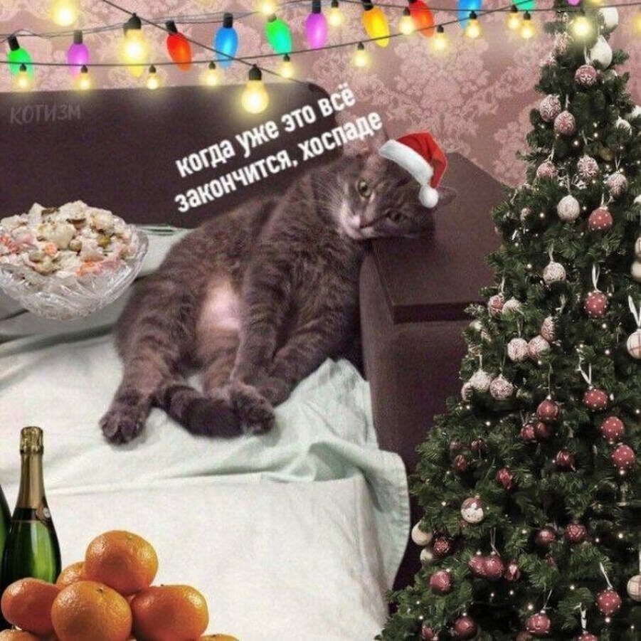 Новогодние приколы