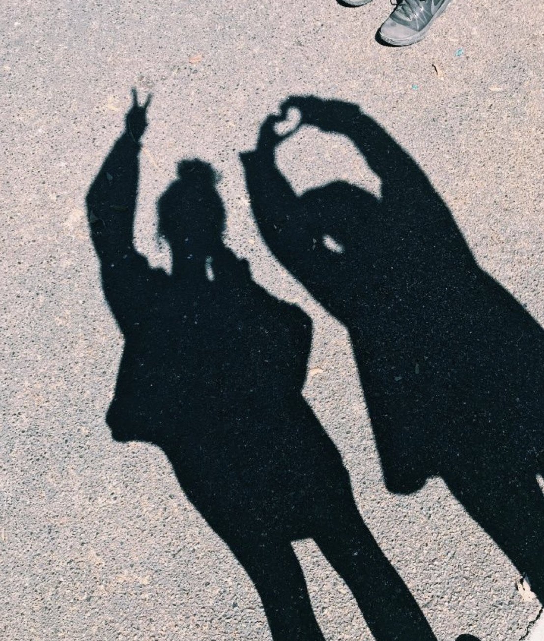 Тень подруг