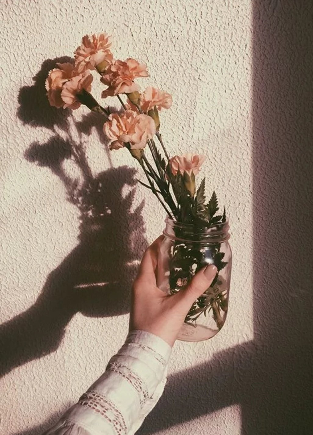 Эстетика в цветах