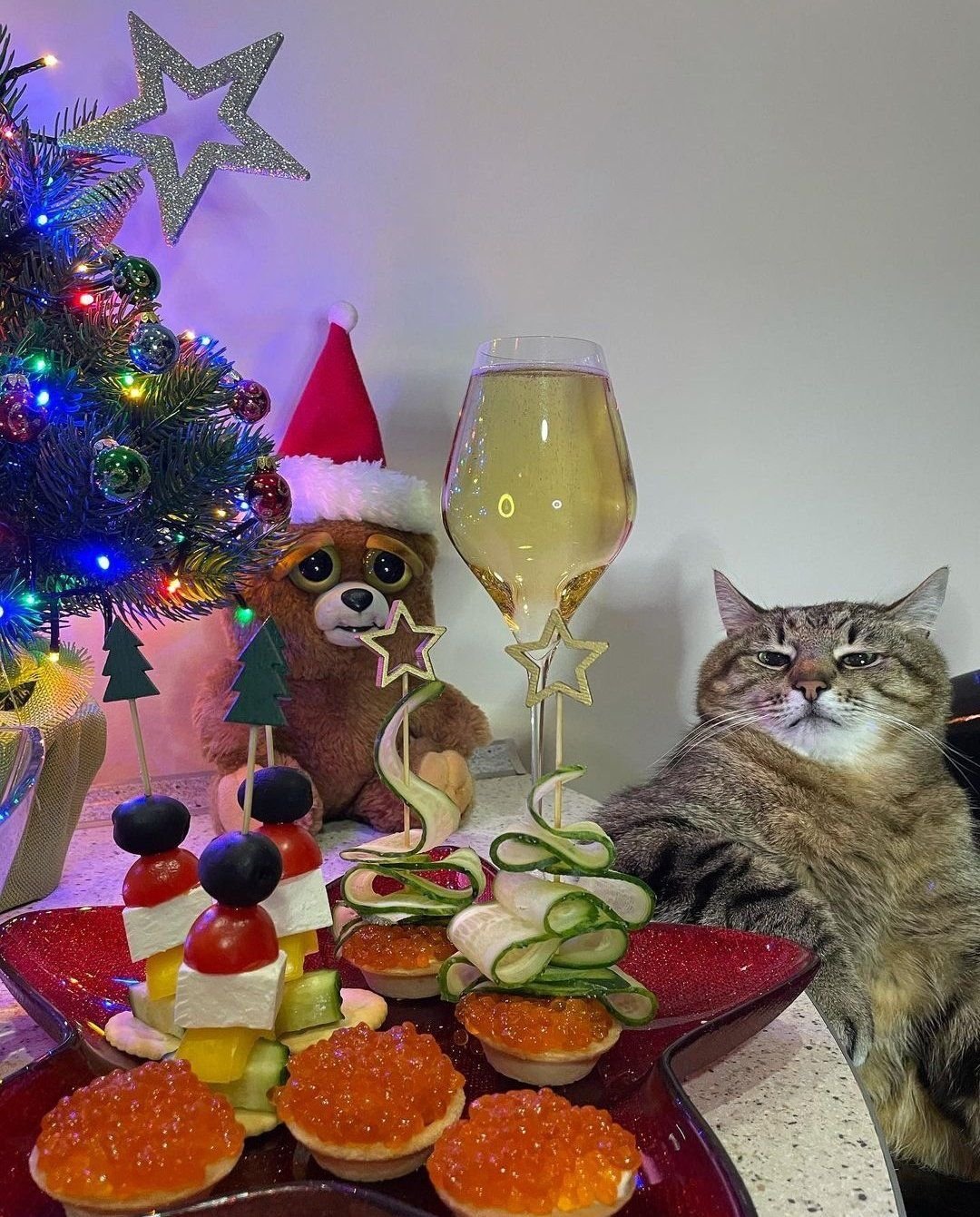 Коты за новогодним столом