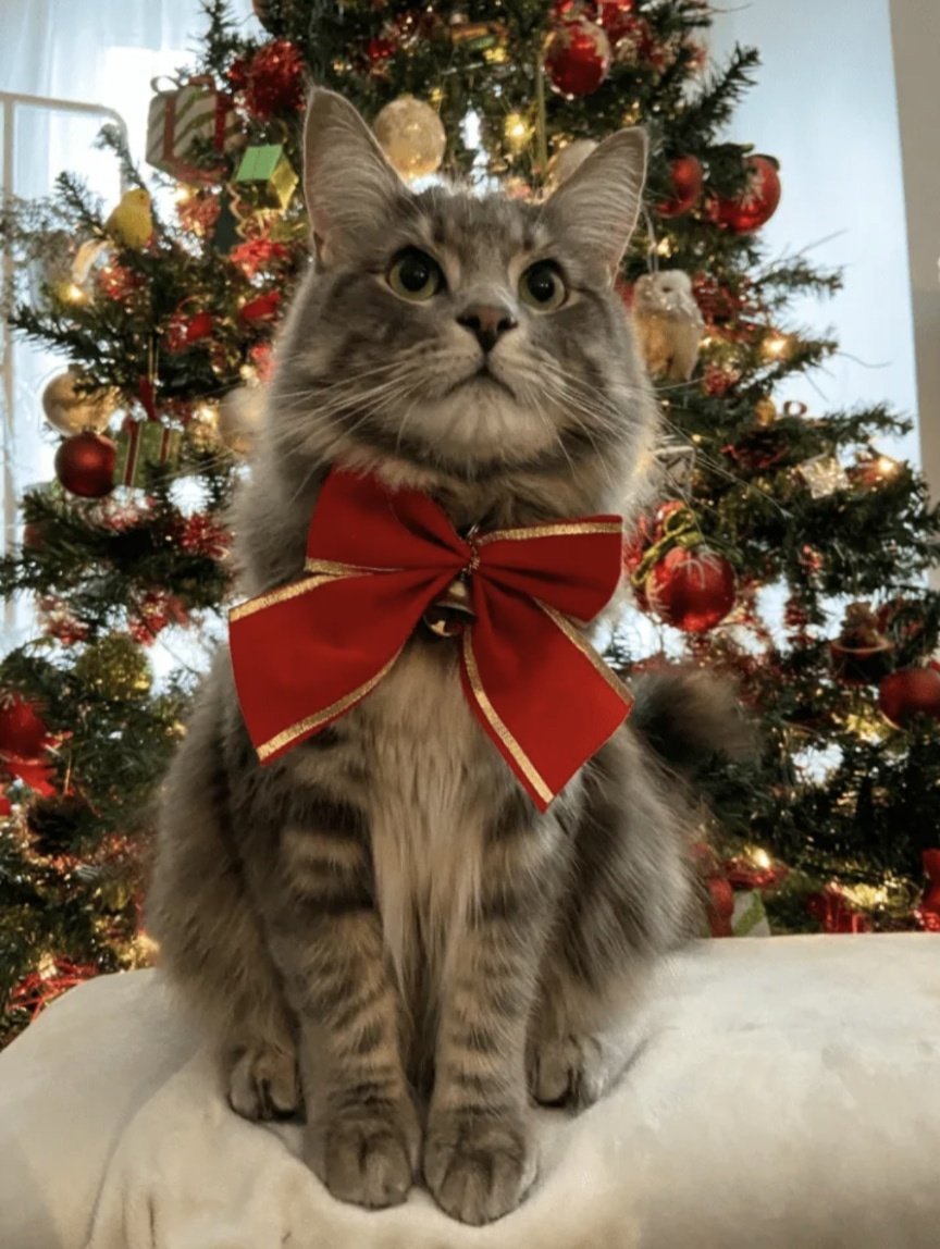 Чувствуете новогоднее настроение