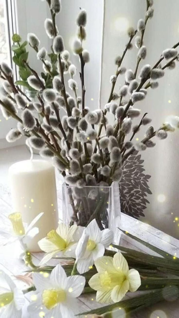 Верба Эстетика