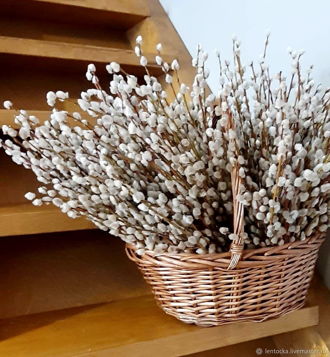 Верба дерево