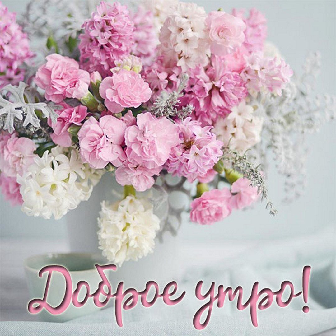 Доброе утро цветы