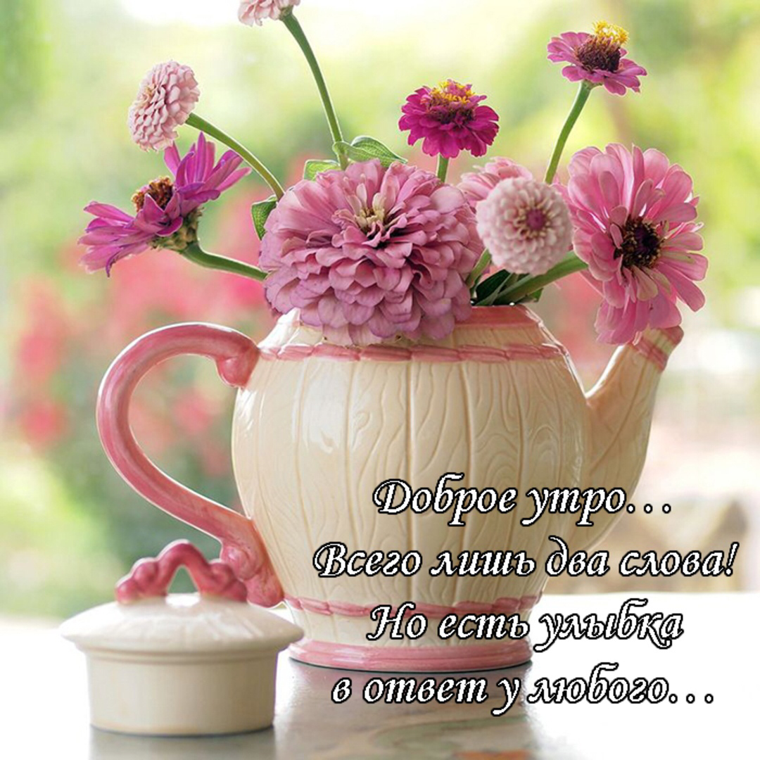 Цветы в чашке