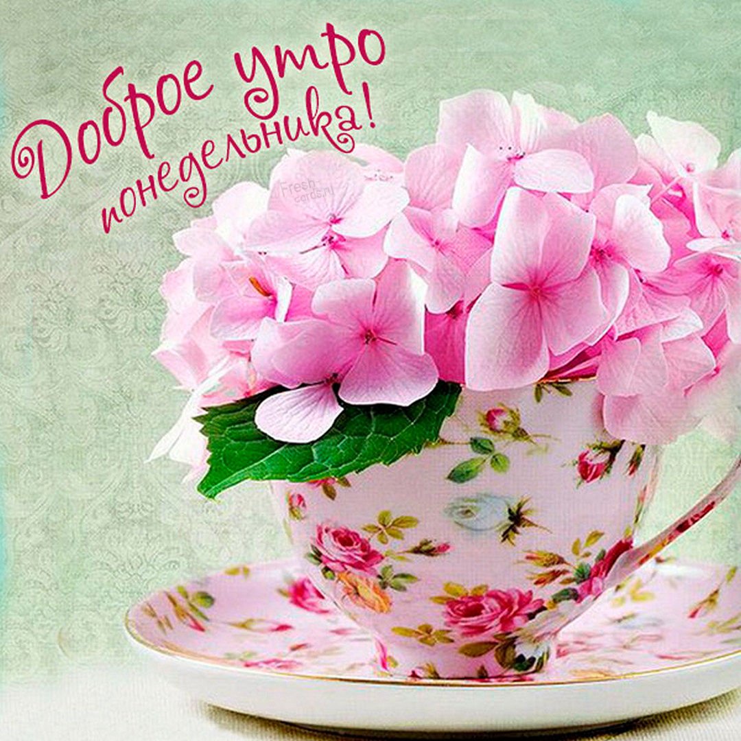 Красивые цветы в чашке