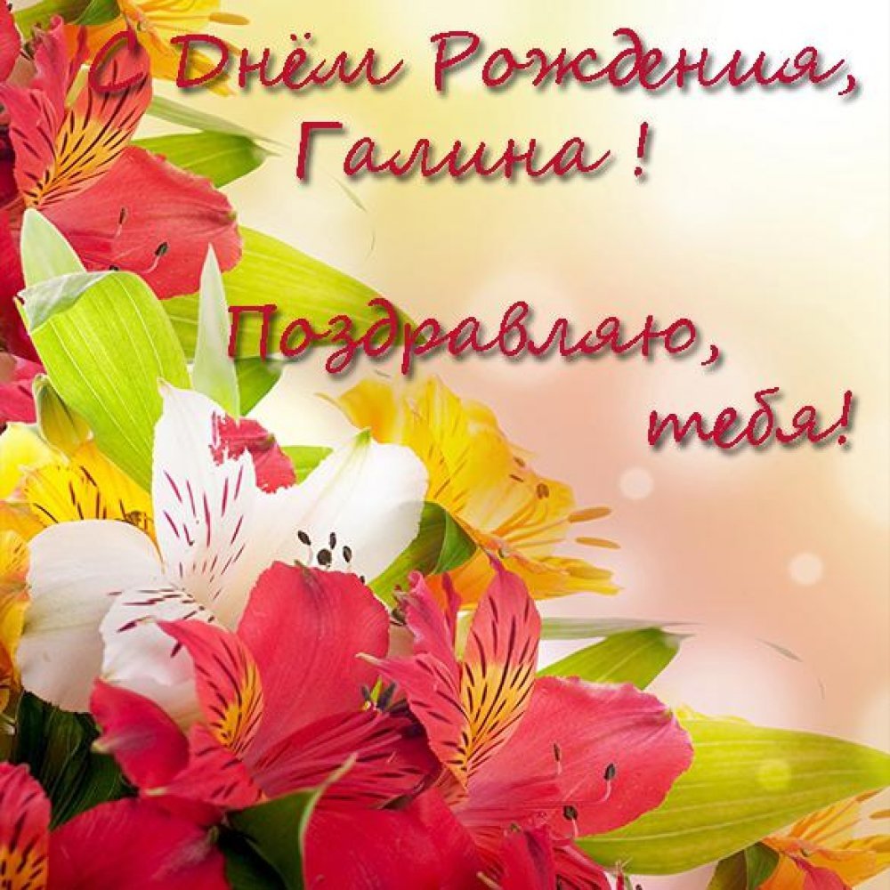 С днем рождения