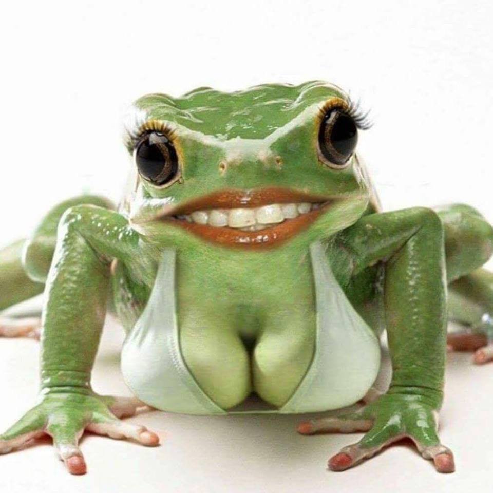 Губастая лягушка