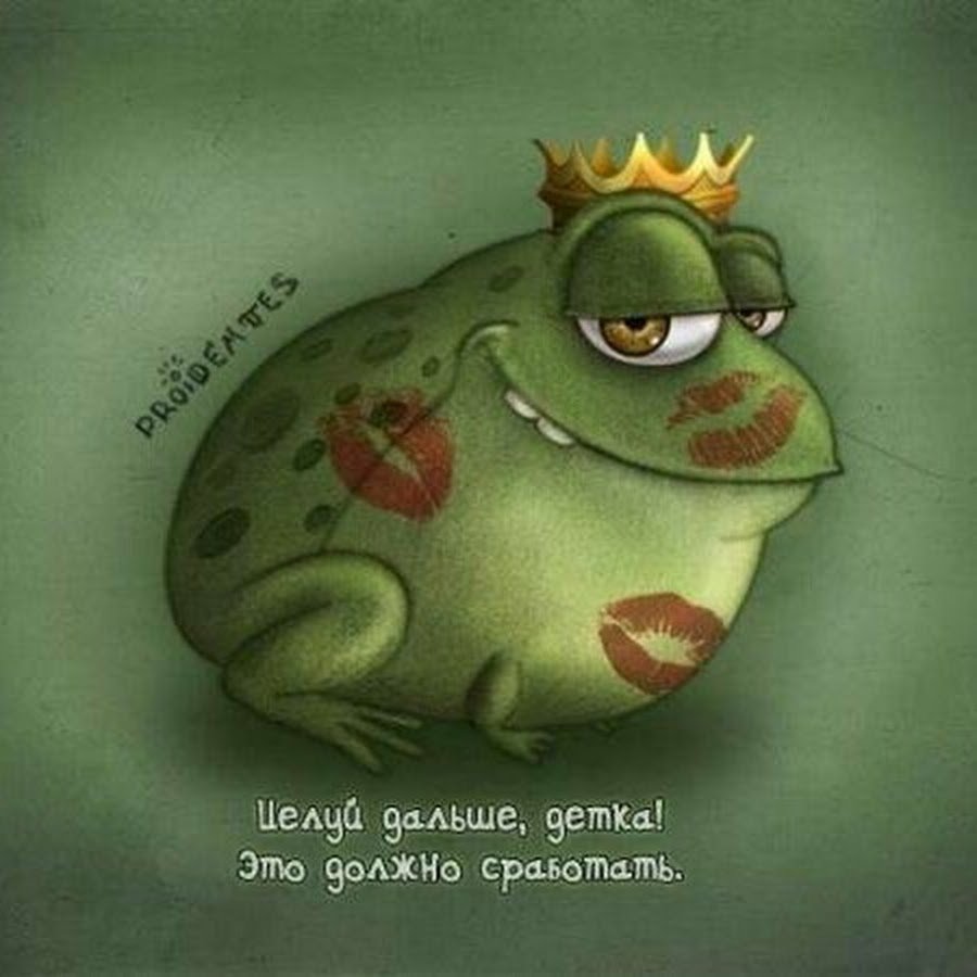 Лягушка юмор