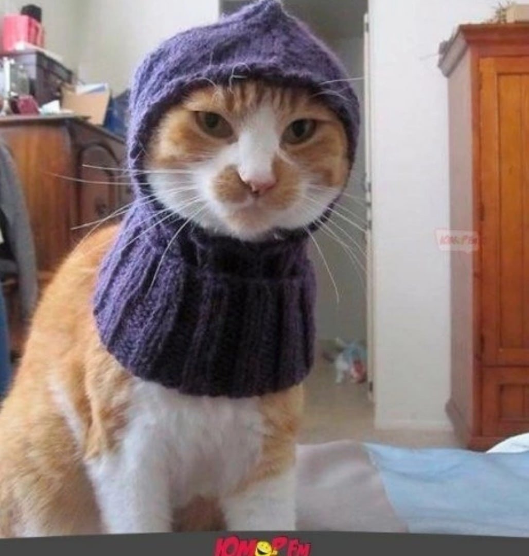 Зато в шапке