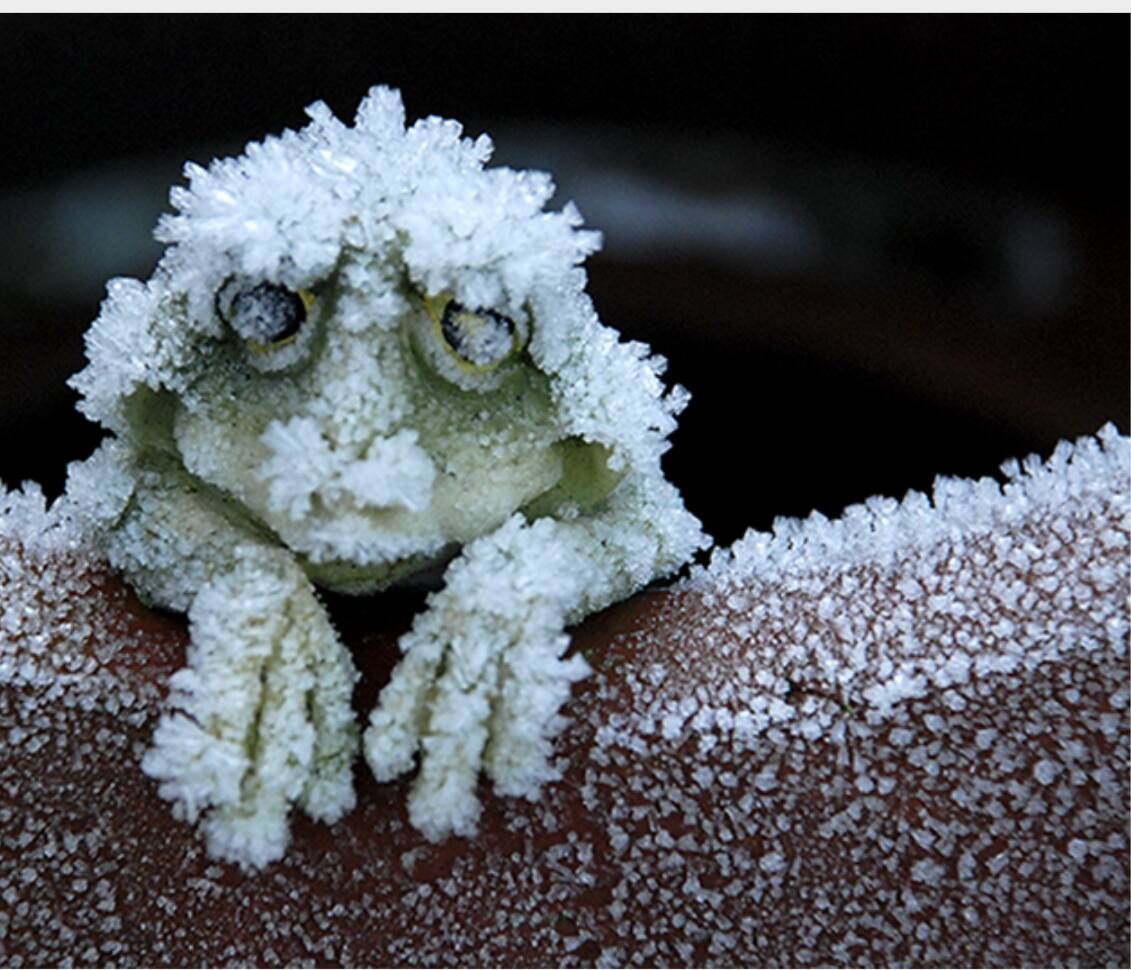 Лето холодрыга