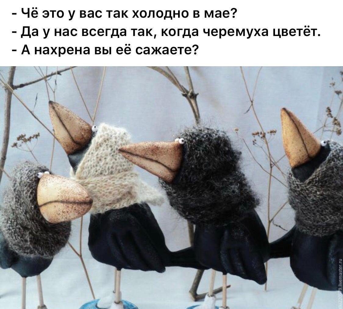 Вороны текстильные