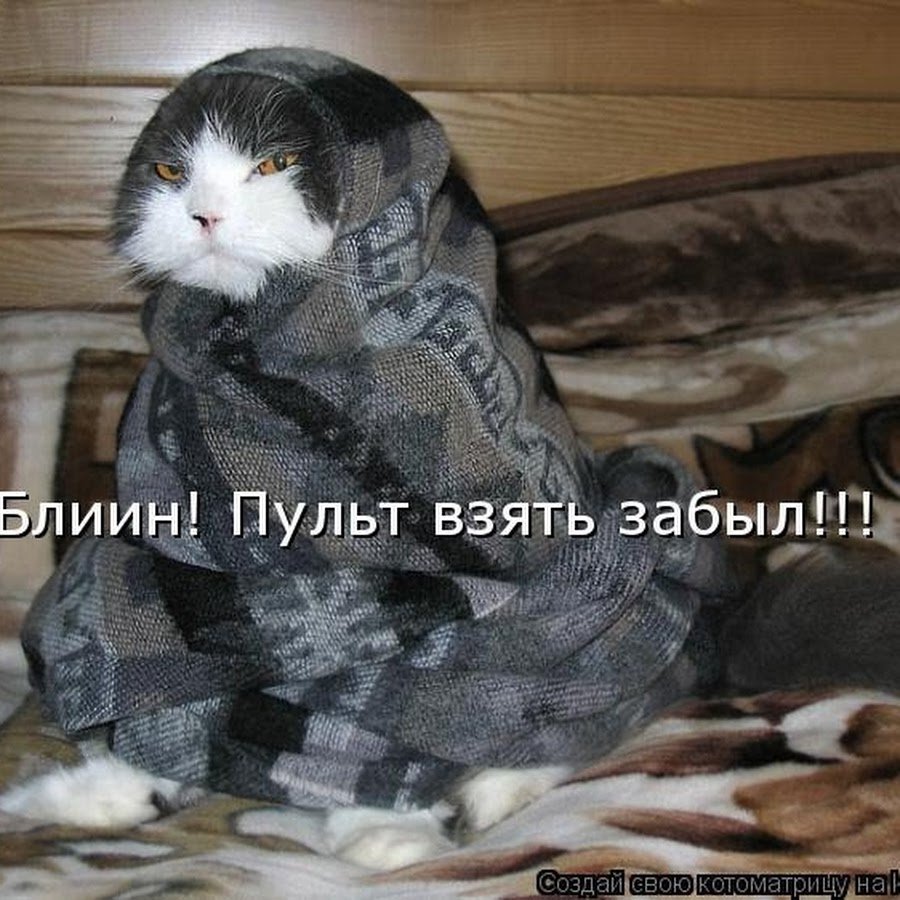 Холодно прикольные