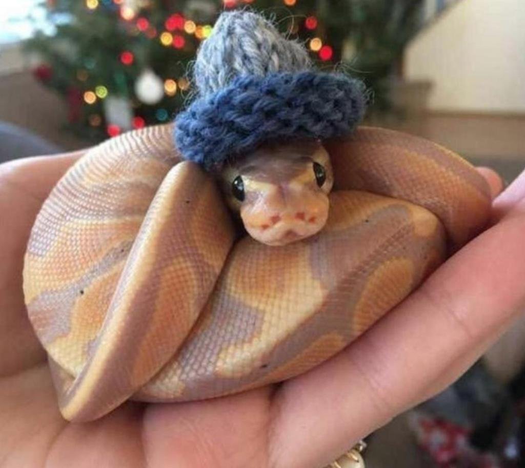 Доброе утро зимнее прикольное