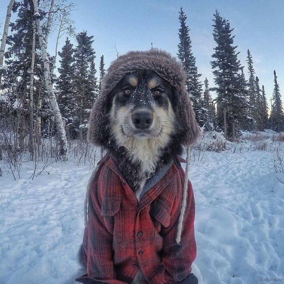 Кутенких Андрей Владимирович