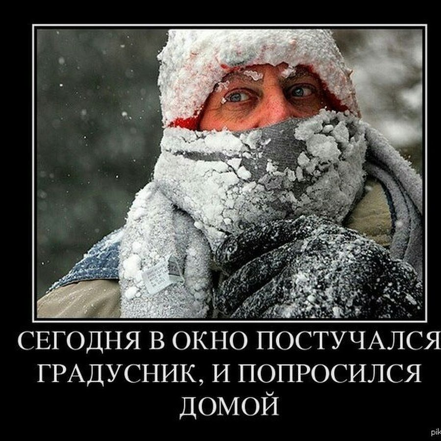 Приколы про Мороз