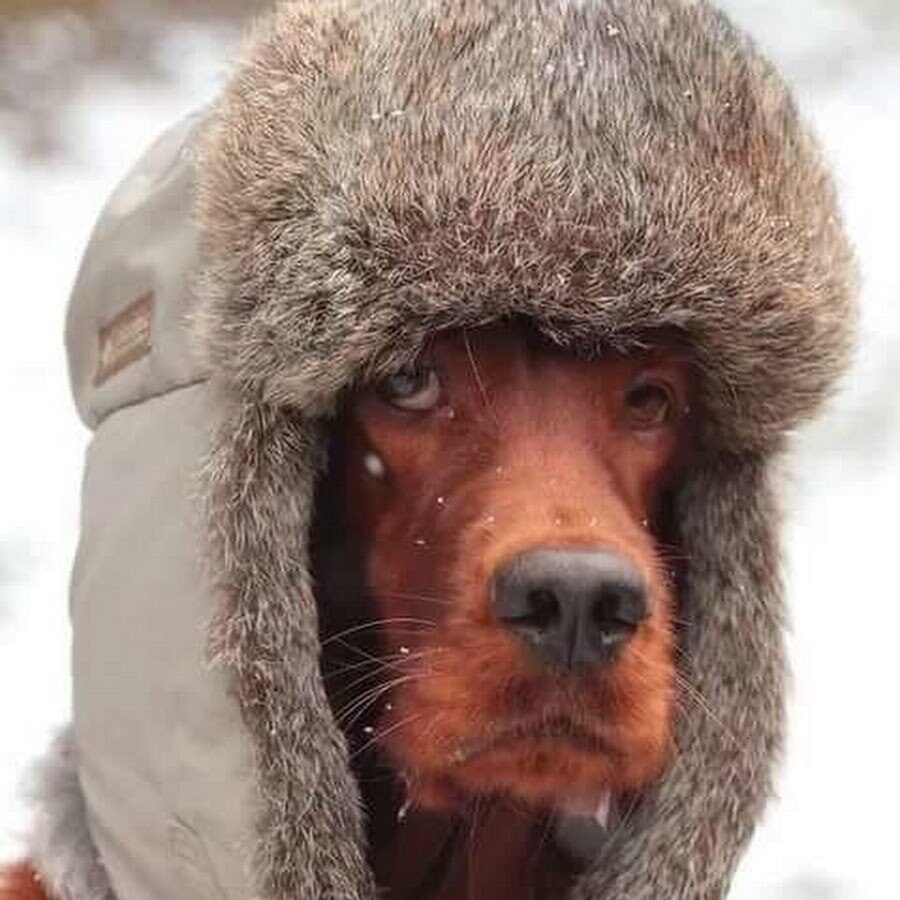 Стало холодно