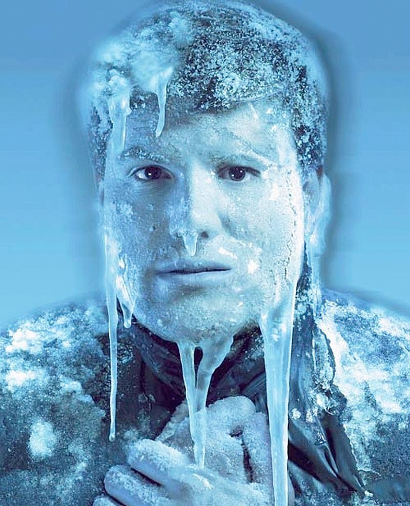 Собака в валенках и шапке