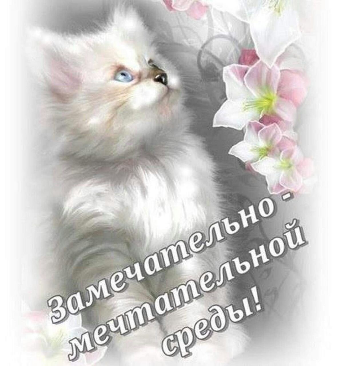 Открытки на среду с пожеланиями