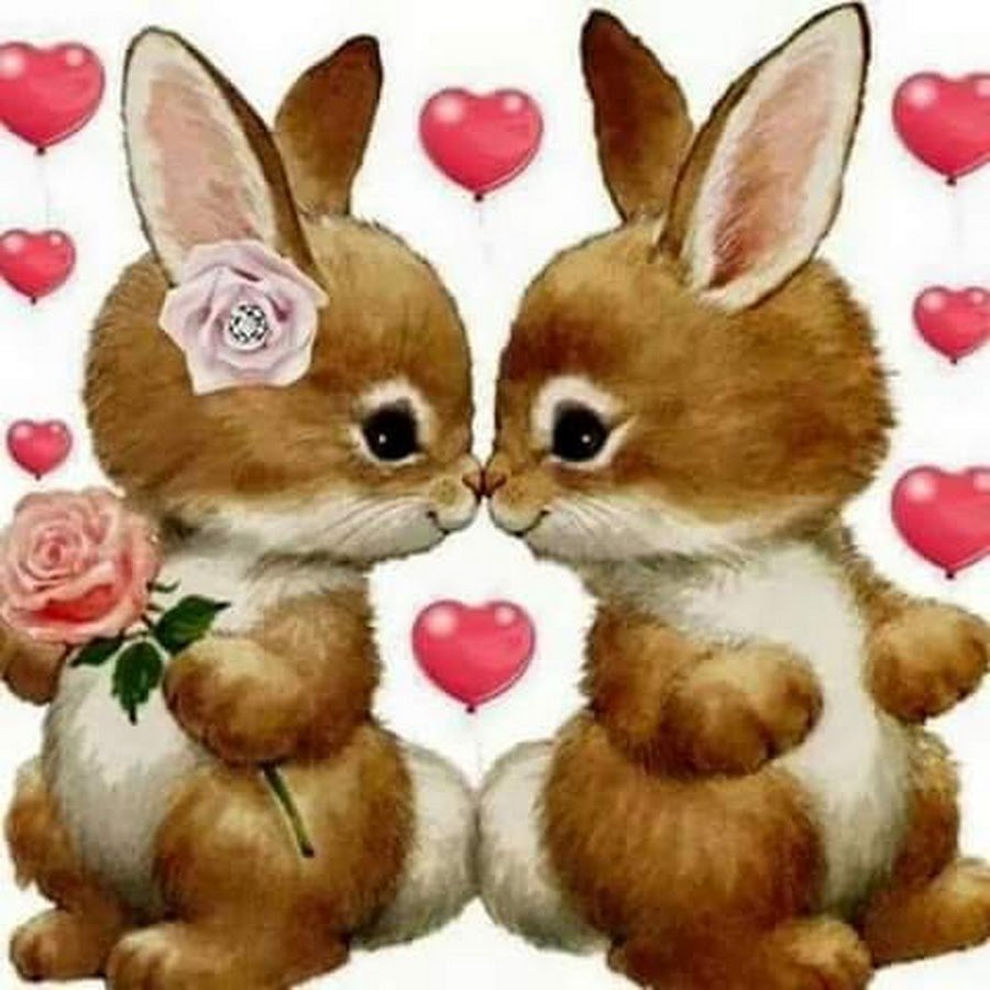 Любимому зайке