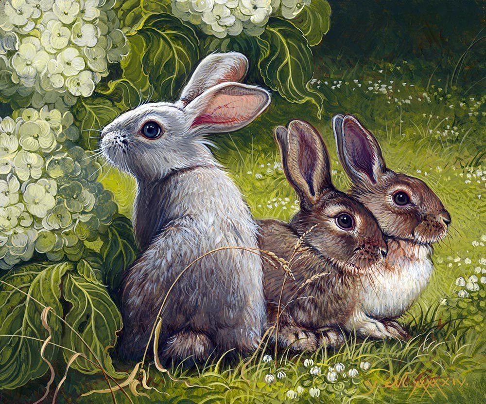 Семья Зайцев заяц зайчиха и Зайчата