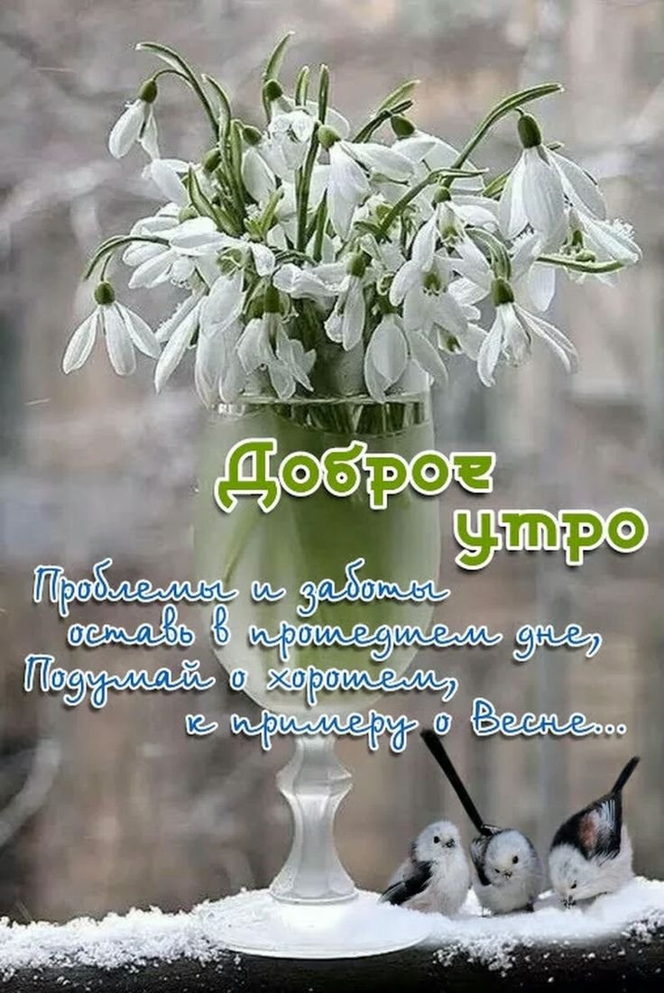 Красивые раскладки с цветами