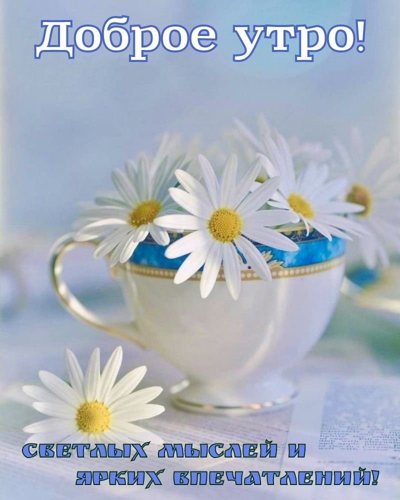 Нежное настроение