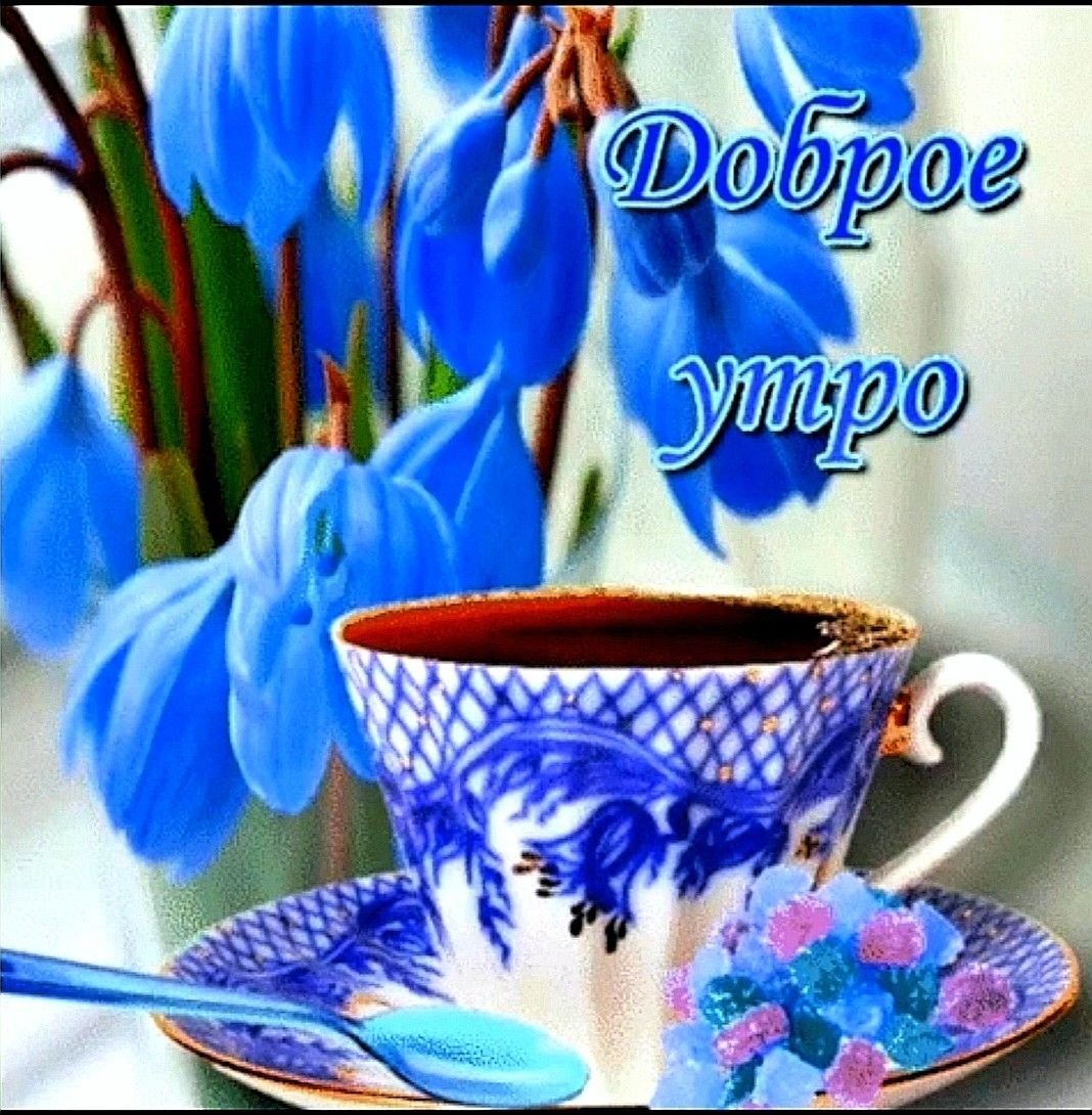 Доброе солнечное утро