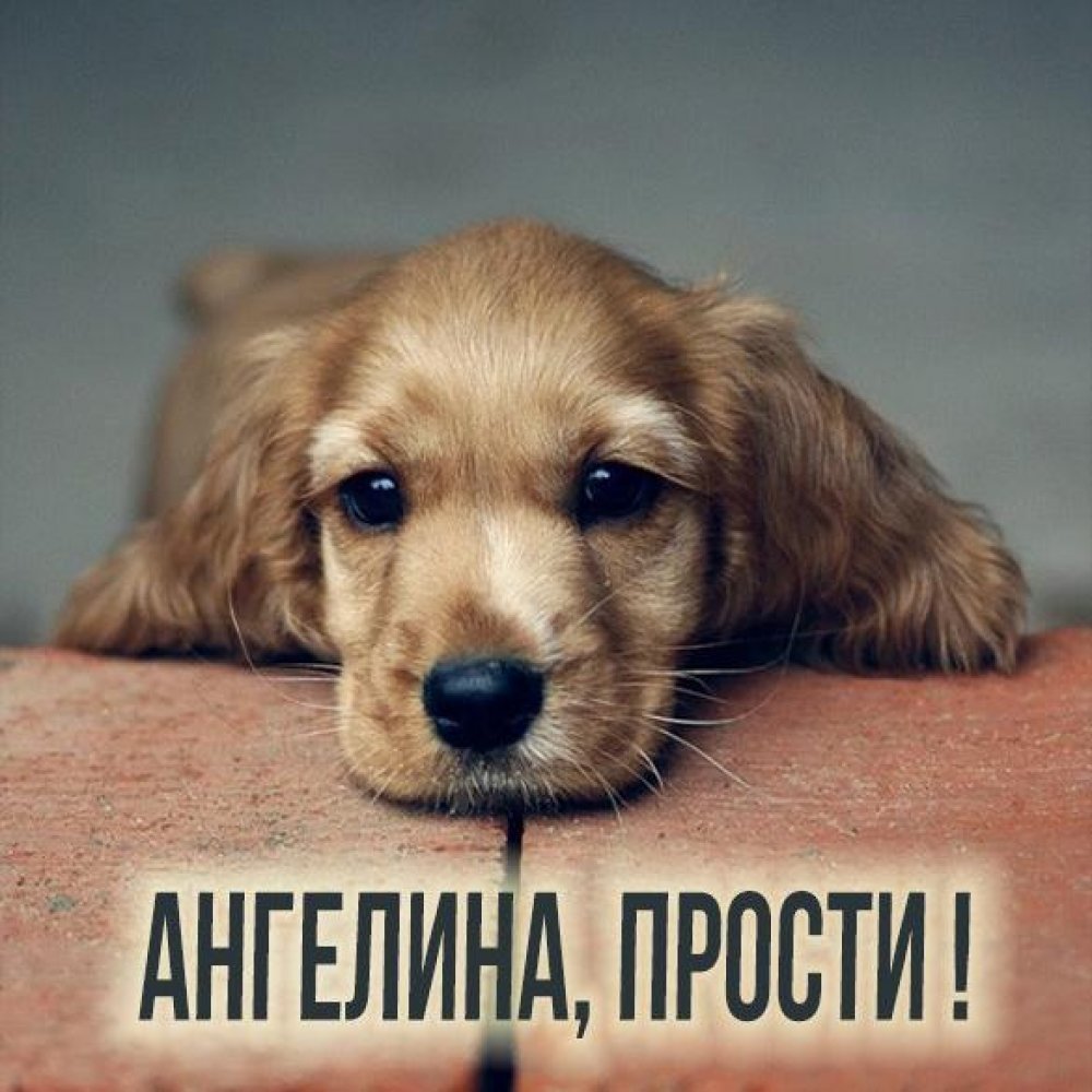 Прости меня